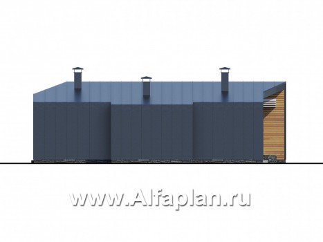 «Дельта» - проект одноэтажного дома с террасой, в стиле барн с фальцевыми фасадами - превью фасада дома