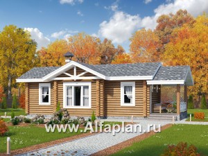 Проекты домов Альфаплан - Узкая деревянная баня с гостевой спальной - превью основного изображения